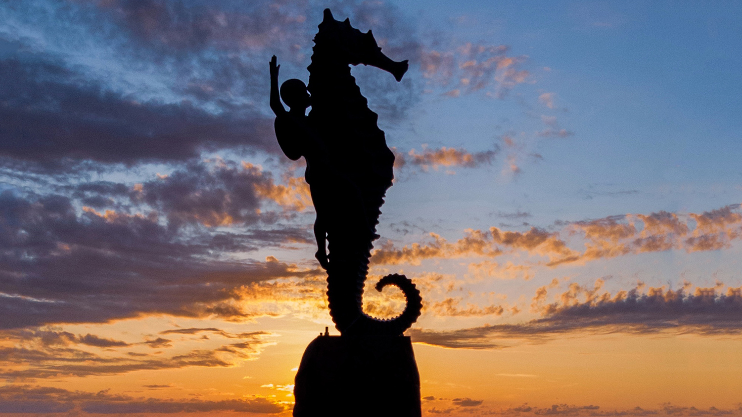 El Caballito de Mar