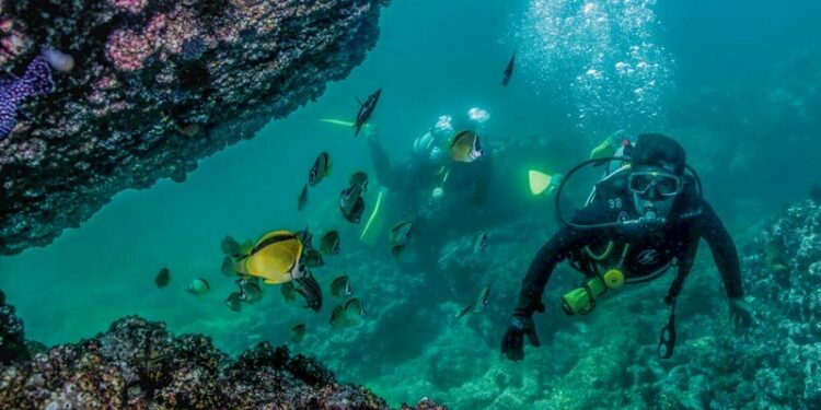 Diving Spots in Puerto Vallarta